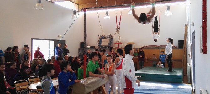 Resultado 2ª Jornada Juegos Deportivos de Navarra- Gimnasia Masculina-Polideportivo de Arazuri