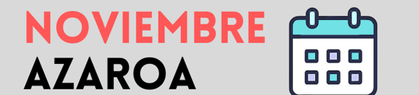 AGENDA NOVIEMBRE / AZAROKO AGENDA